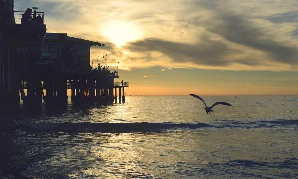 Necessitatibus quia adipisci cupiditate atque.