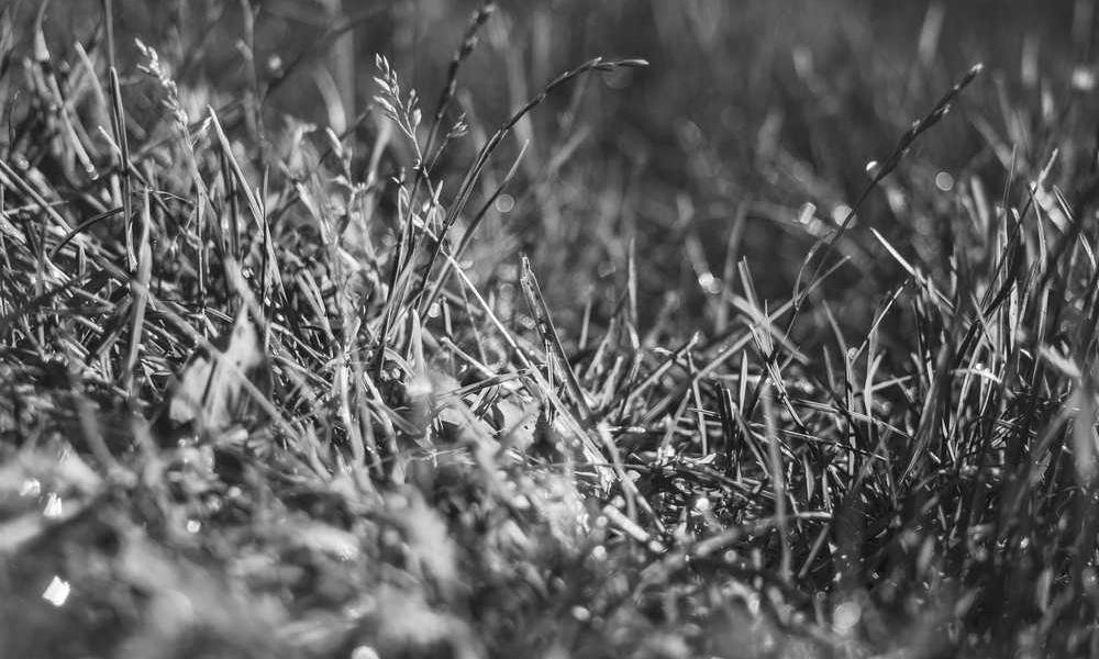 Necessitatibus quia adipisci cupiditate atque.