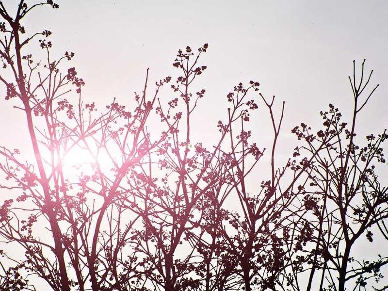 Necessitatibus quia adipisci cupiditate atque.