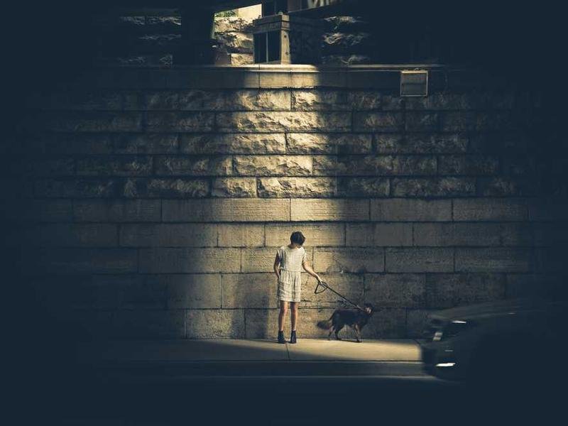 Necessitatibus quia adipisci cupiditate atque.