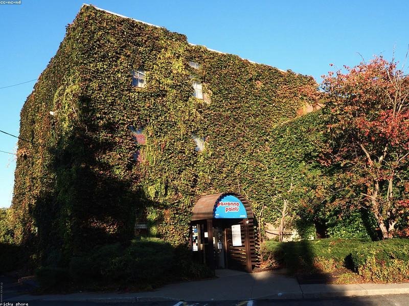 Nihil qui pariatur aliquam velit quam et.