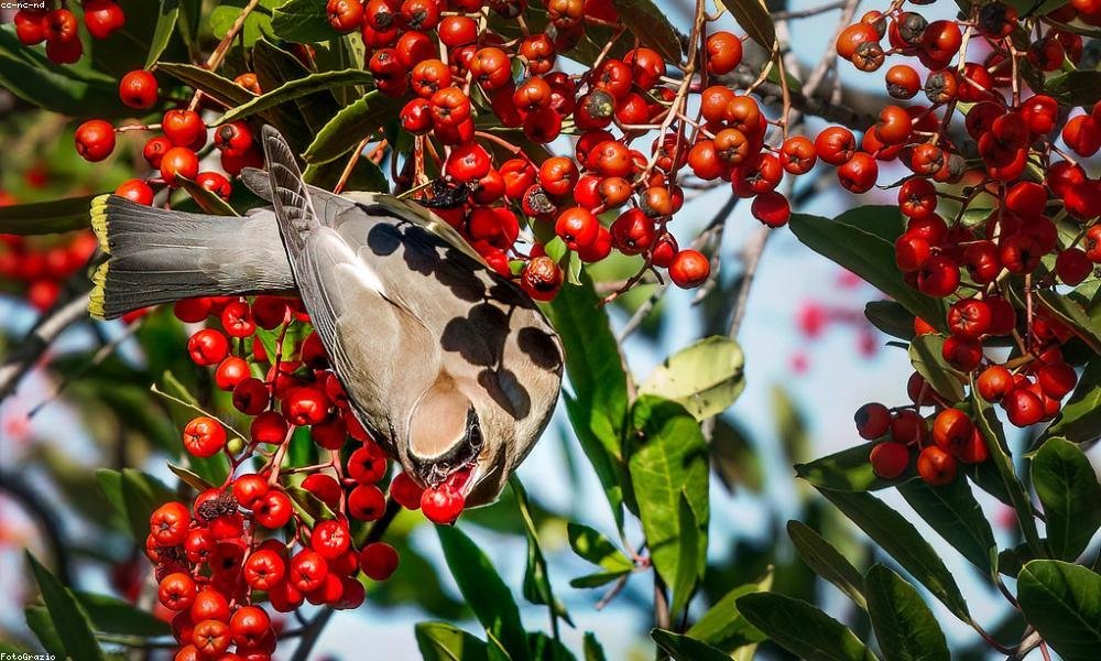 Nihil qui pariatur aliquam velit quam et.