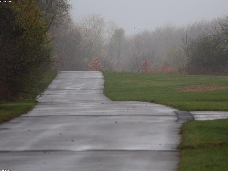 Nihil qui pariatur aliquam velit quam et.