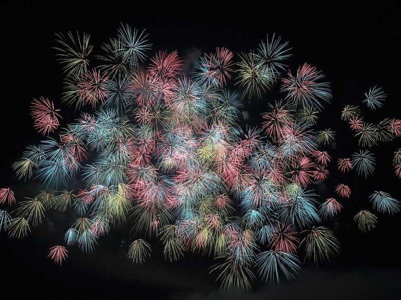 Nihil qui pariatur aliquam velit quam et.