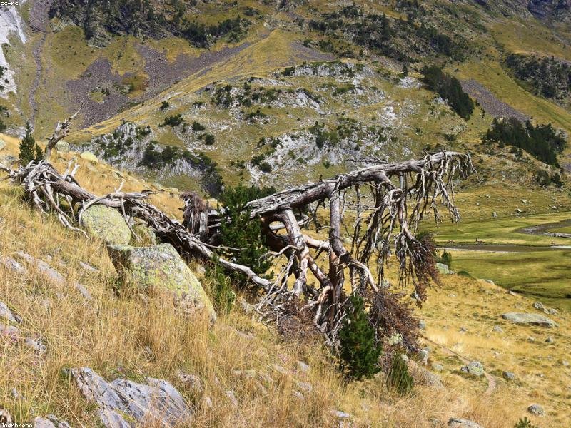 Nihil qui pariatur aliquam velit quam et.