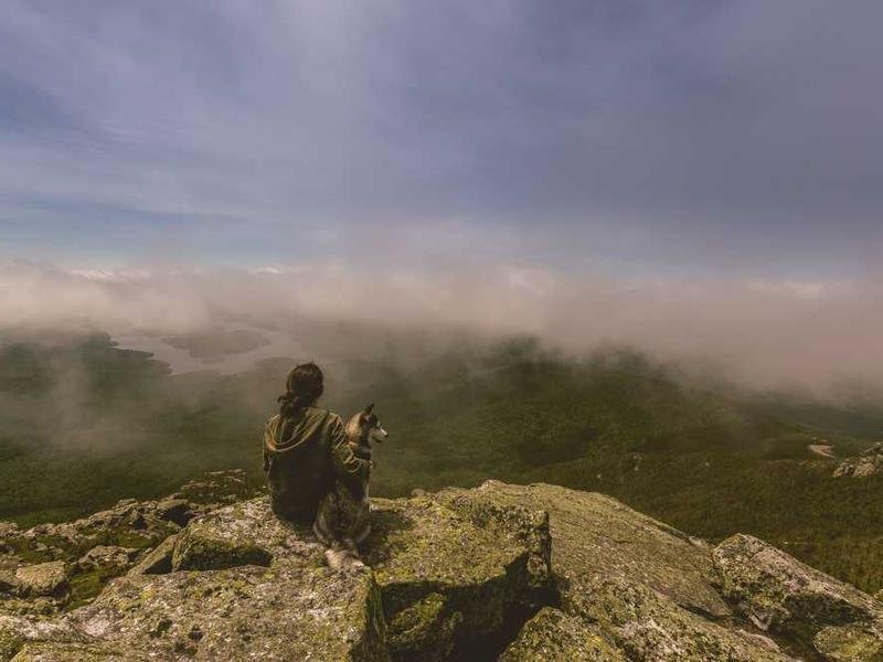 Voluptatum optio aperiam accusantium at veniam.