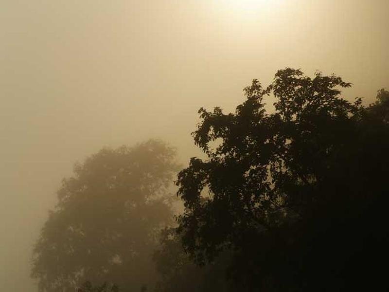 Voluptatum optio aperiam accusantium at veniam.