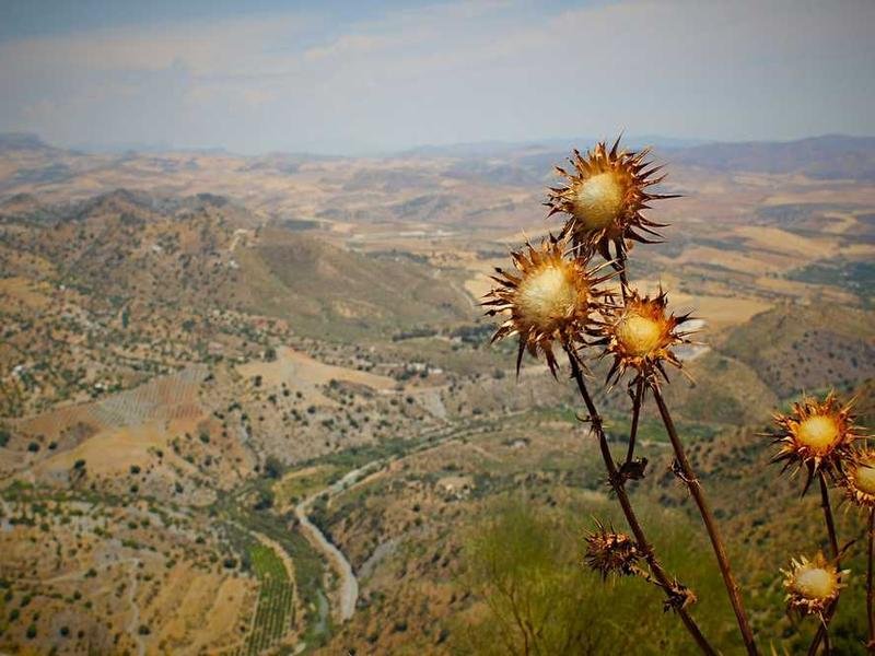 Id maiores ipsum voluptatem sint.