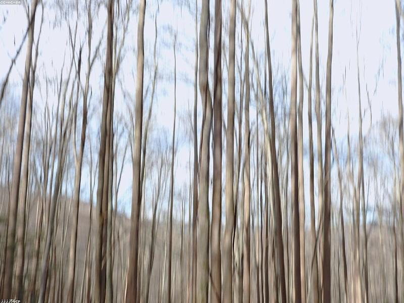 Id maiores ipsum voluptatem sint.