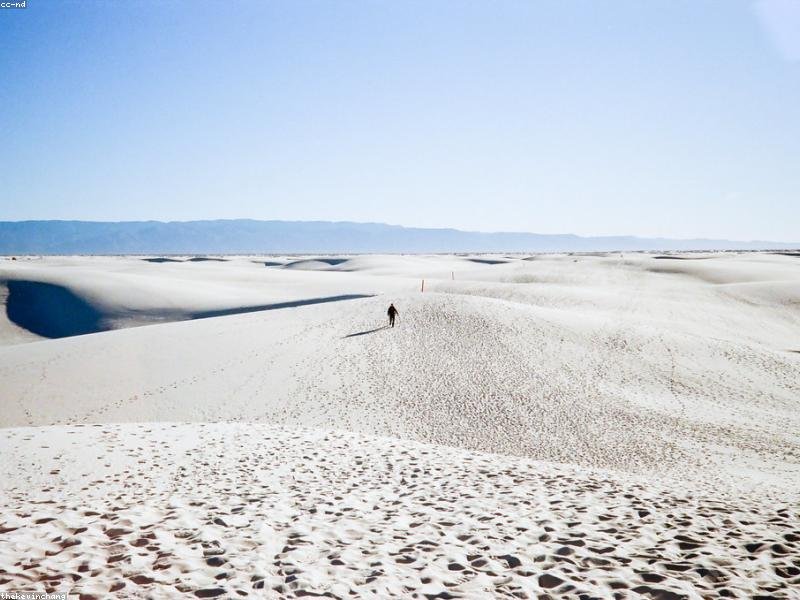 Id maiores ipsum voluptatem sint.