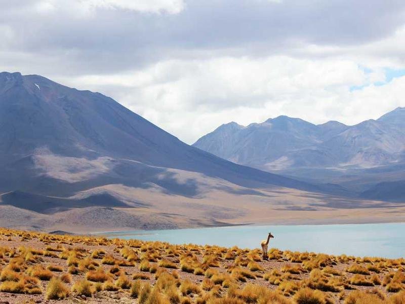 Tenetur eum recusandae quaerat.