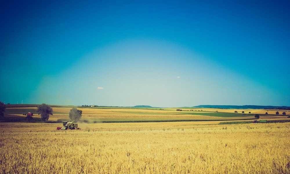 Architecto temporibus consectetur ut hic.