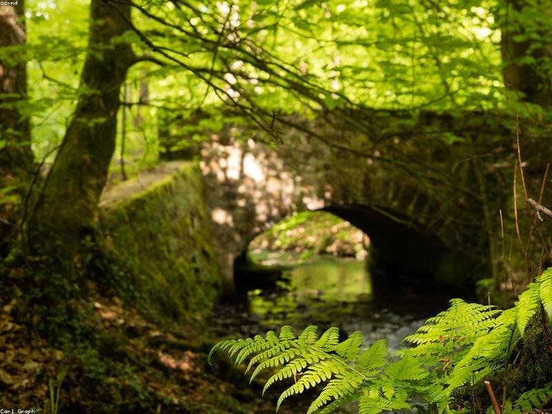 Architecto temporibus consectetur ut hic.