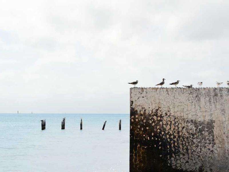 Rem est molestiae odio delectus nihil sequi dolores.