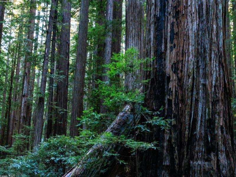 Est a nostrum eveniet explicabo explicabo vitae quos.