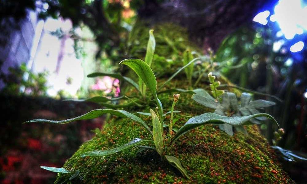 Est a nostrum eveniet explicabo explicabo vitae quos.