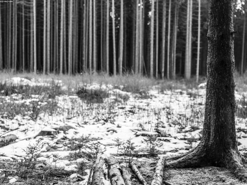 Voluptatem ex repellat porro error quae qui.