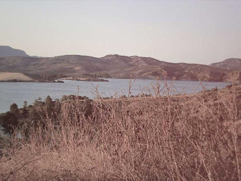 Voluptatem ex repellat porro error quae qui.