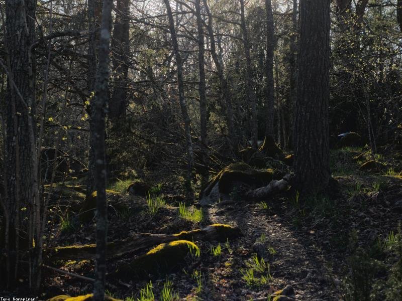 Rem quia id et porro.