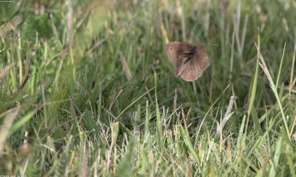 Rem quia id et porro.