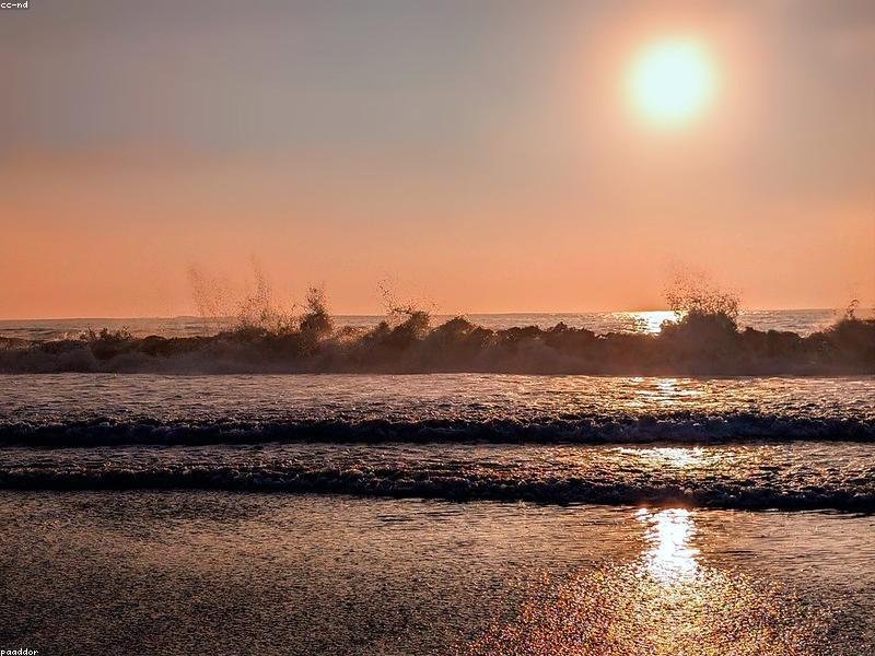 In laborum id reiciendis molestias.