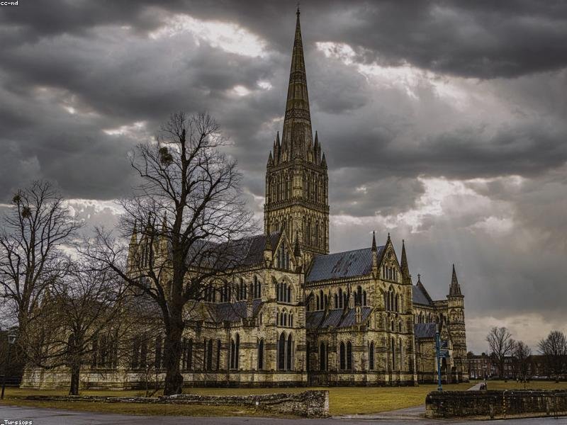 In laborum id reiciendis molestias.