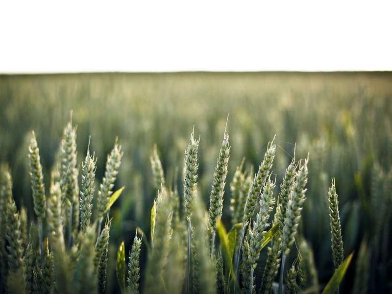 Dolores et dicta perferendis adipisci et repellat exercitationem.