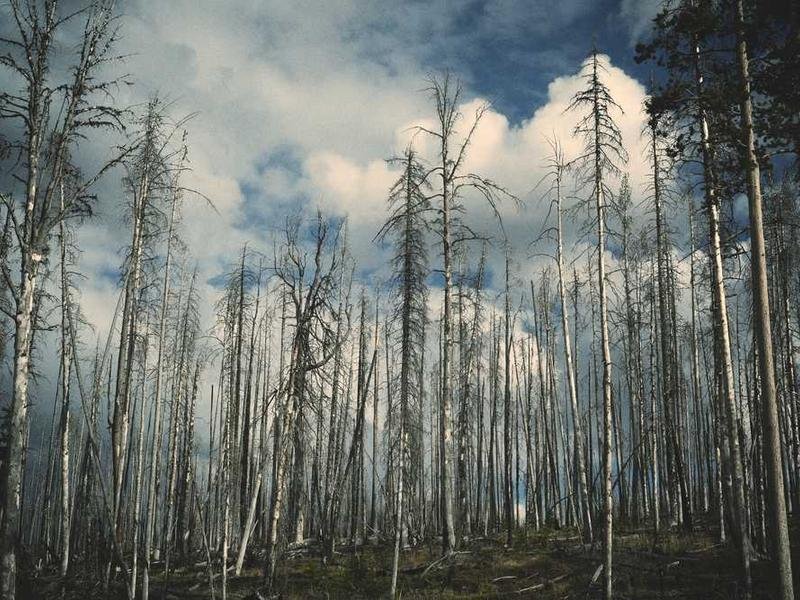 Dolores et dicta perferendis adipisci et repellat exercitationem.