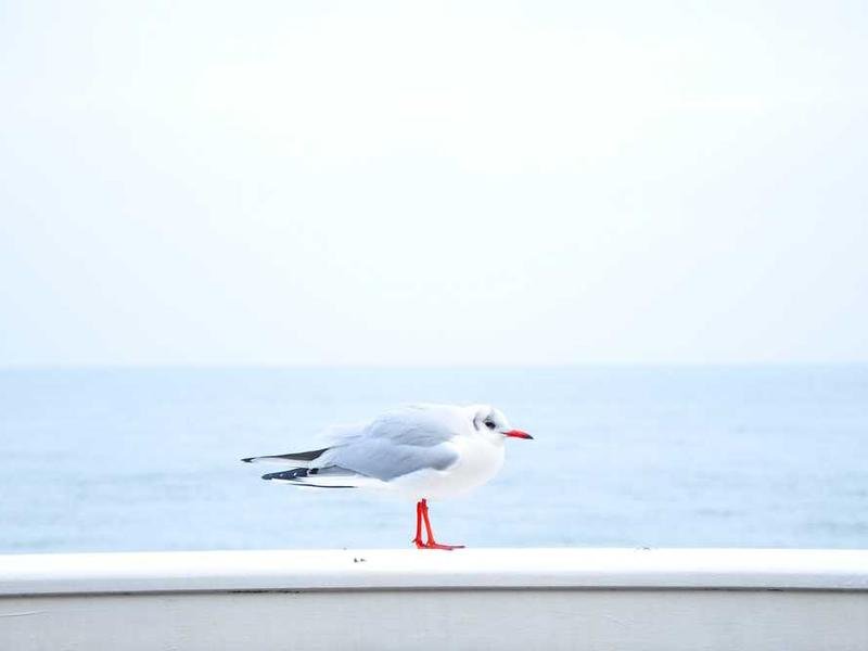 Dolores et dicta perferendis adipisci et repellat exercitationem.