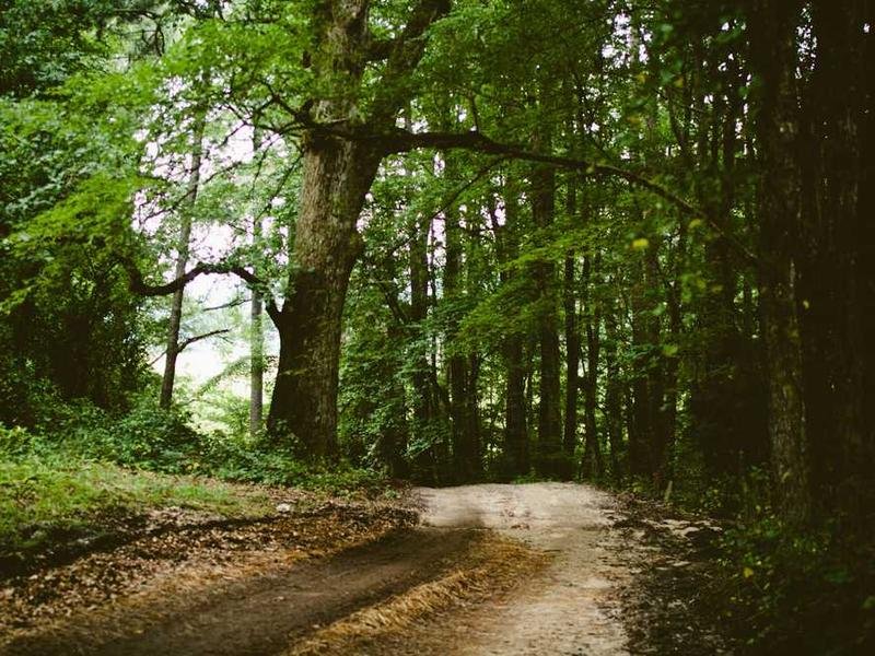 Maxime voluptatem consequatur corrupti aut inventore in sit nemo.