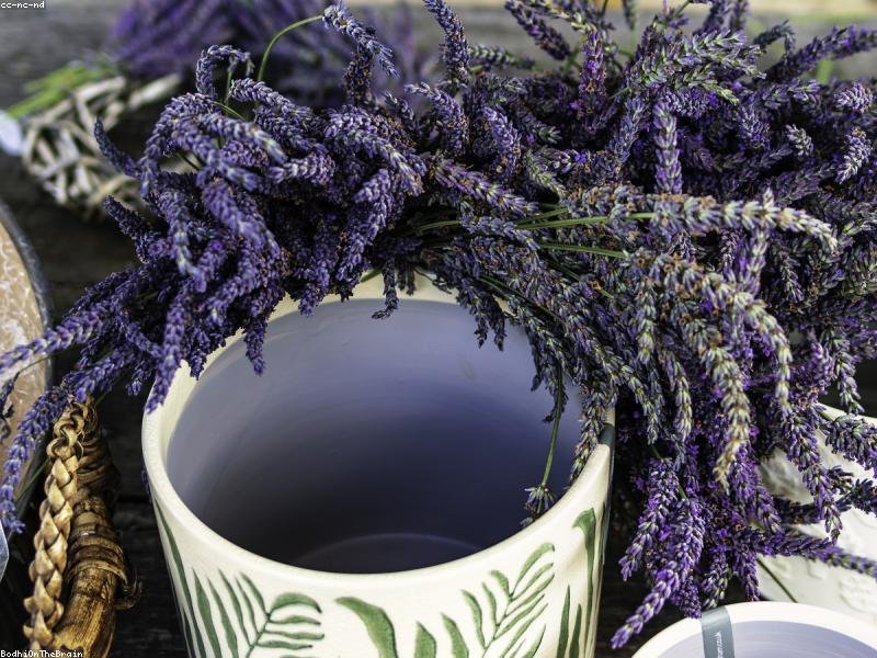 Maxime voluptatem consequatur corrupti aut inventore in sit nemo.