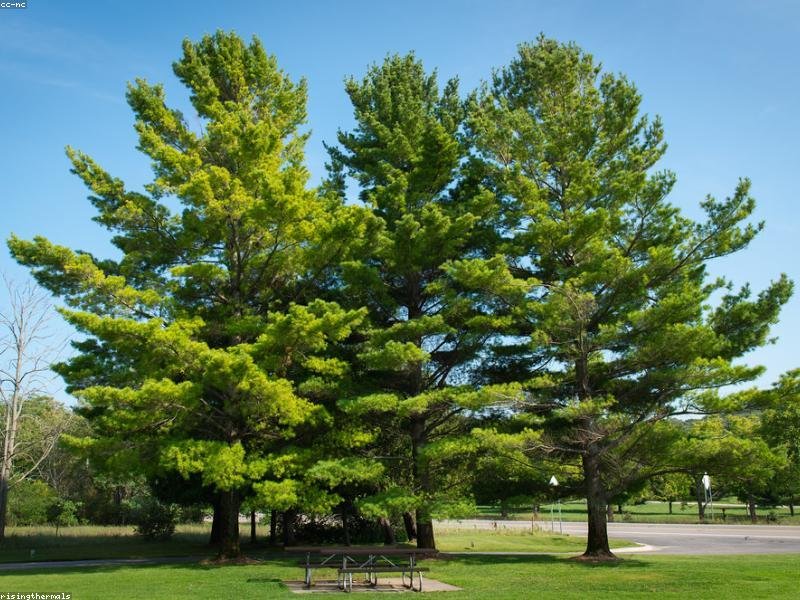 Maxime voluptatem consequatur corrupti aut inventore in sit nemo.