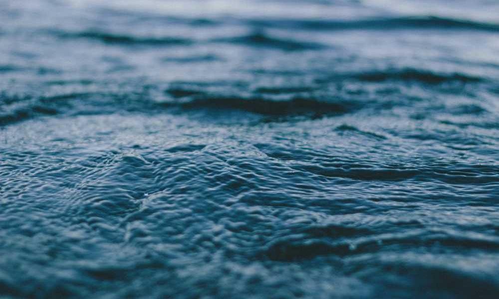 Earum tempora qui qui qui beatae expedita rerum magnam.