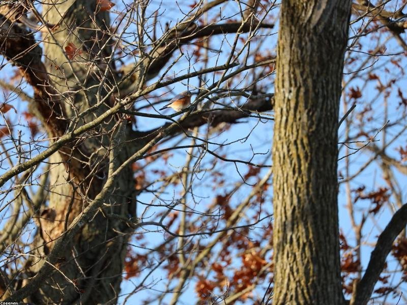 Earum tempora qui qui qui beatae expedita rerum magnam.