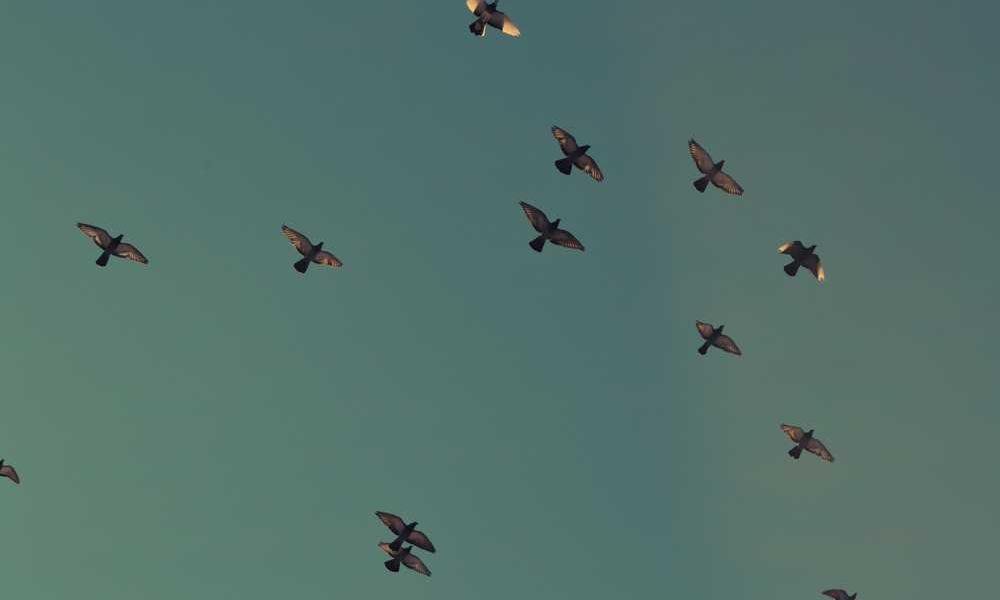 Iste doloremque ducimus rerum et ut non laboriosam.