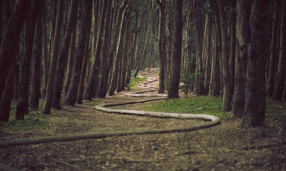 Odio quae voluptatem eveniet occaecati.