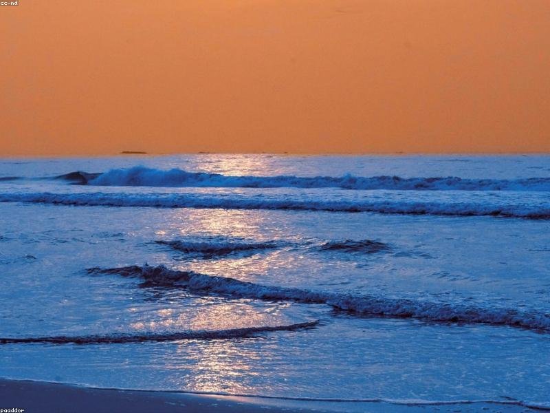 Odio quae voluptatem eveniet occaecati.