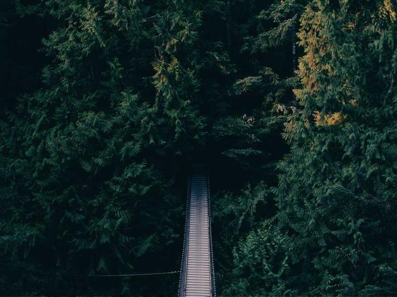 voluptates provident