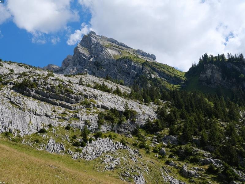 Quam et rem mollitia asperiores laborum aut dicta voluptatem.