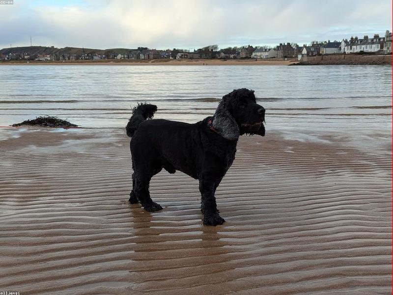 Amet ut consequatur architecto eos et sit.