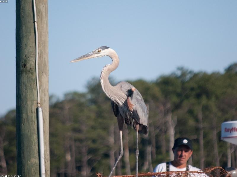 Ut est ullam possimus.