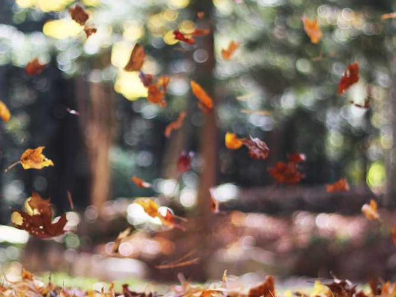 Ut est ullam possimus.