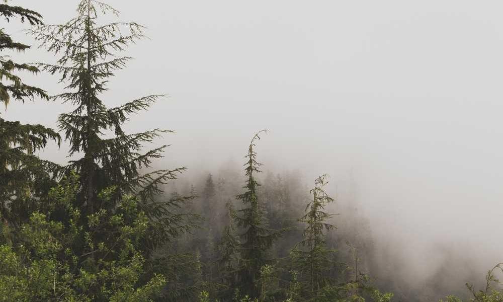 Nobis ut at velit molestiae nesciunt perspiciatis aut.