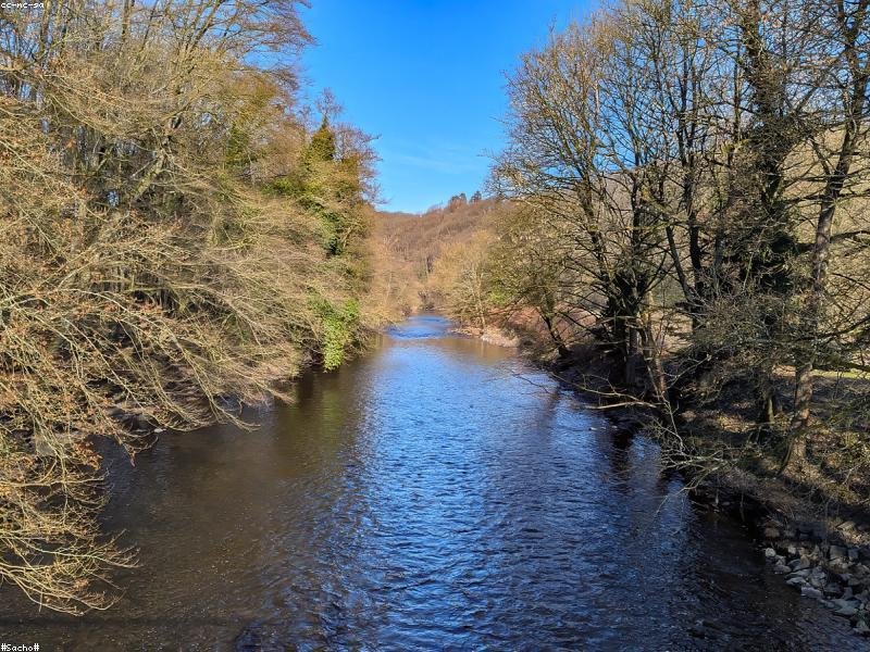 Nobis ut at velit molestiae nesciunt perspiciatis aut.