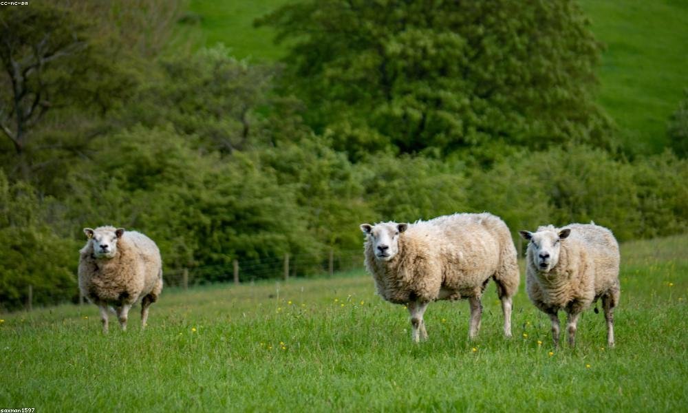 Nobis ut at velit molestiae nesciunt perspiciatis aut.