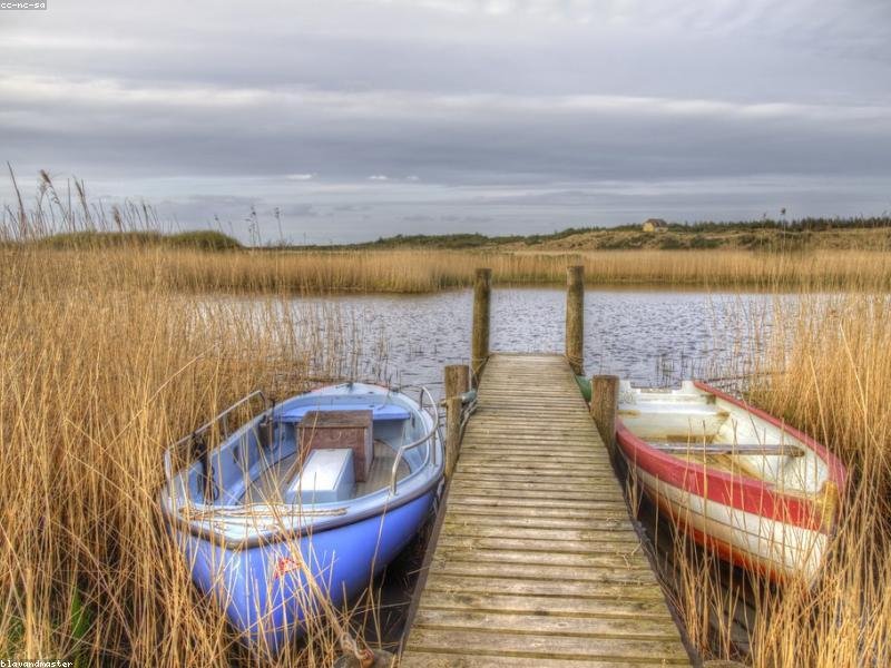 optio necessitatibus